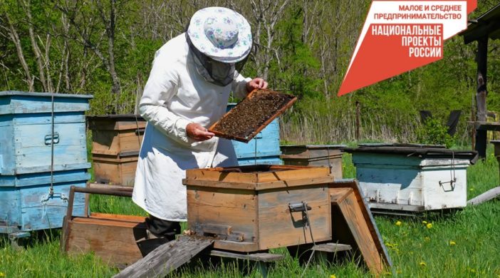Жители Бурятии могут пройти курсы по пчеловодству